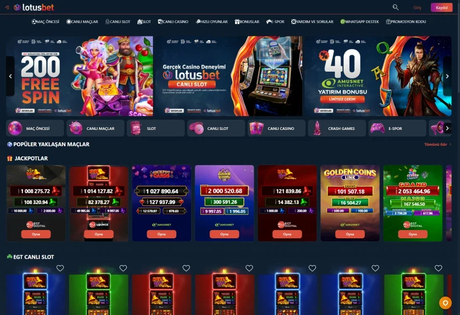 Lotusbet ekran görüntüsü